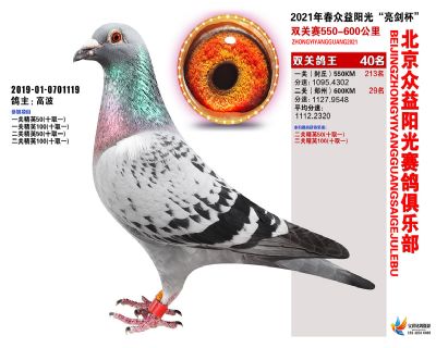 众益阳光40名