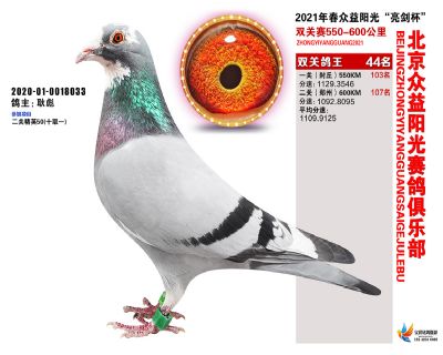 众益阳光44名