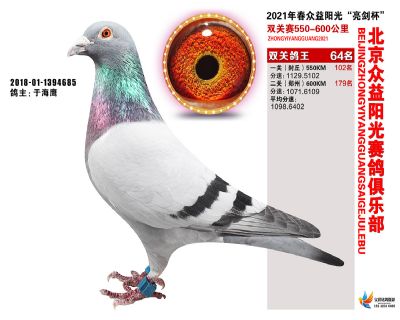 众益阳光64名