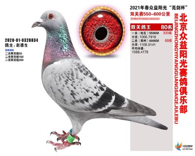 众益阳光80名