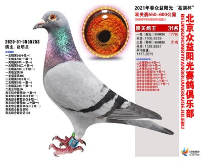 众益阳光31名