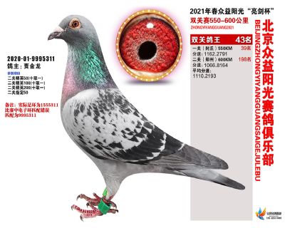 众益阳光43名