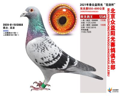 众益阳光55名