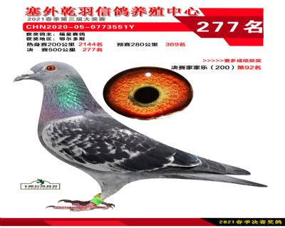 塞外乾羽决赛277名