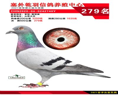 塞外乾羽决赛279名