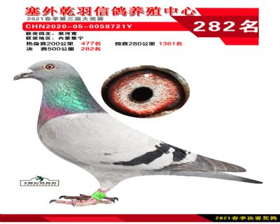塞外乾羽决赛282名
