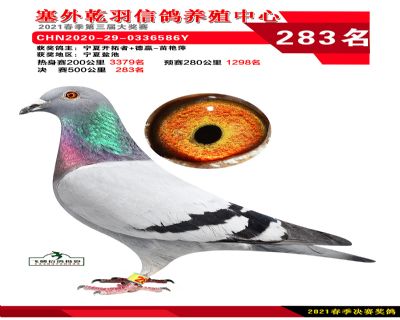 塞外乾羽决赛283名