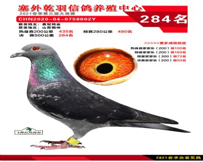 塞外乾羽决赛284名