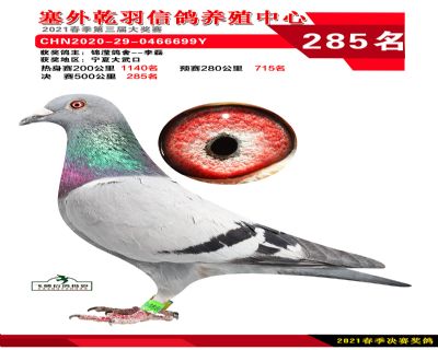 塞外乾羽决赛285名