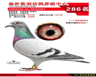 塞外乾羽决赛286名