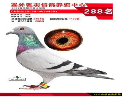 塞外乾羽决赛288名