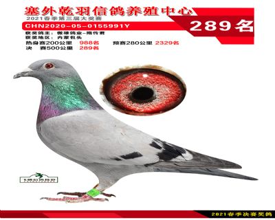 塞外乾羽决赛289名