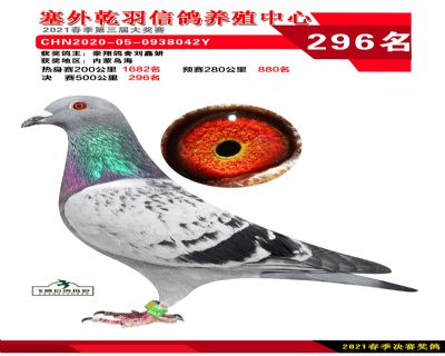 塞外乾羽决赛296名