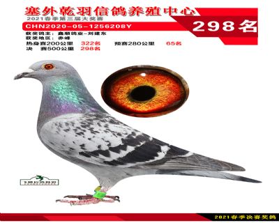塞外乾羽决赛298名