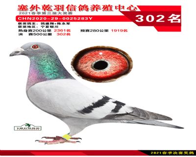 塞外乾羽决赛302名
