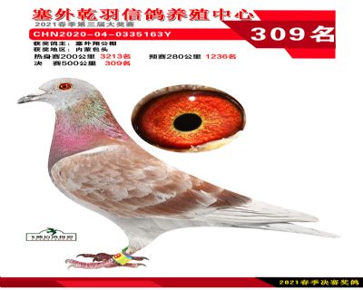 塞外乾羽决赛309名