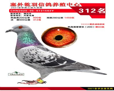 塞外乾羽决赛312名