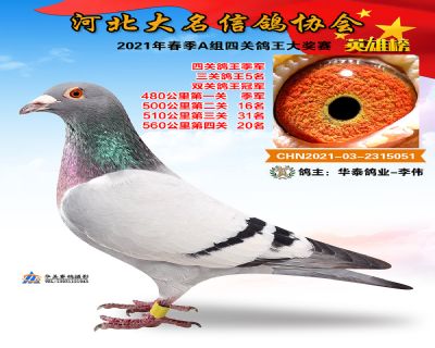 大名A3
