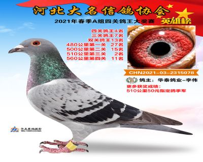 大名A4