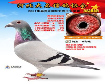 大名A5