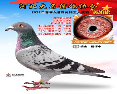 大名A6