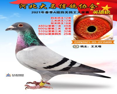 大名A12