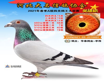 大名A15