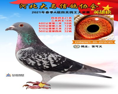 大名A21