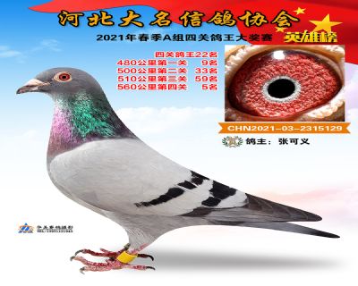 大名A22