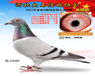 大名A23