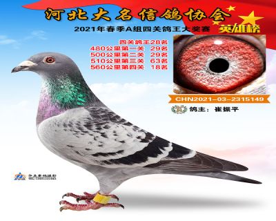 大名A28