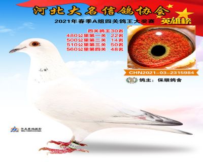 大名A30