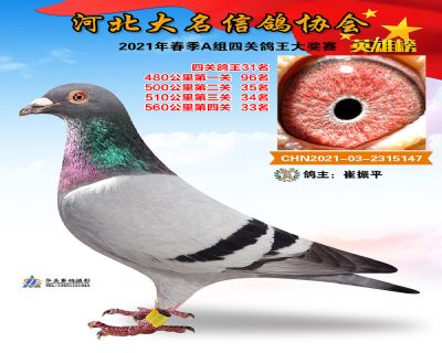 大名A31