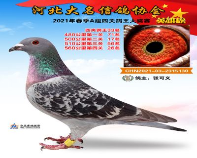 大名A33