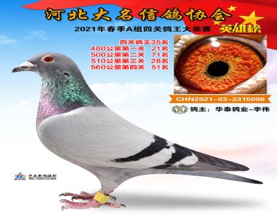 大名A35