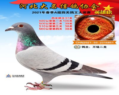 大名A37