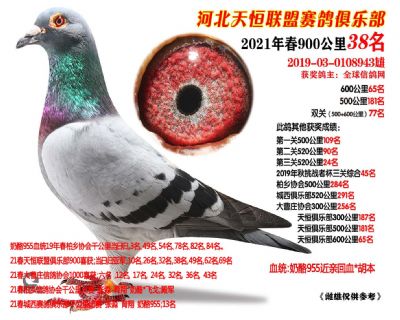 900公里38名，本身多次获奖