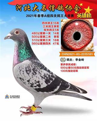 大名A16