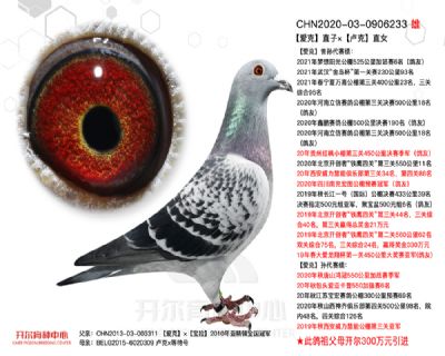 “愛克”直子ד盧克”直女