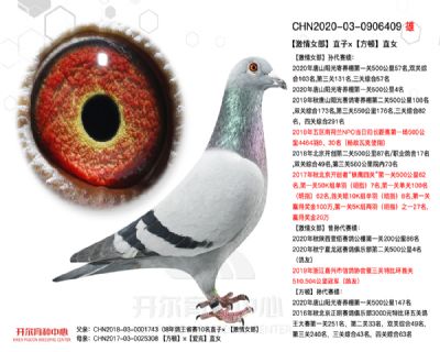 “激情女郎”直子ד方頓”直女