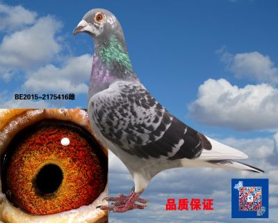 帽子戲法回血