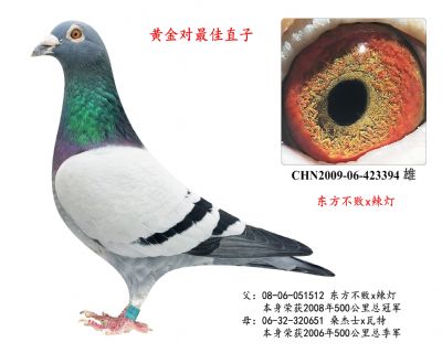 東方不敗x辣燈 (黃金對最佳直子)