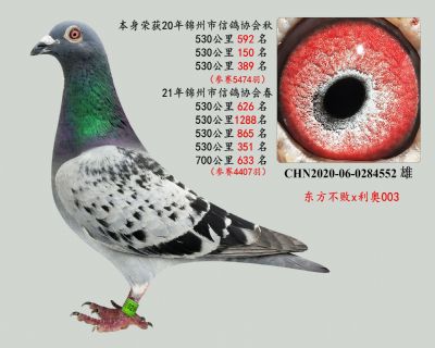 7次530公里、1次700公里(黃金血系—東方不敗)