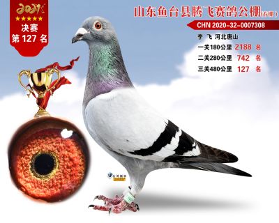 127