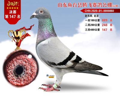 147