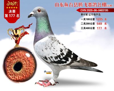 177