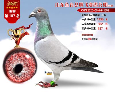 187