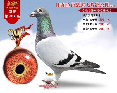 207