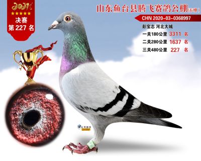 227