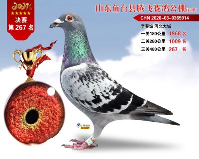 267副本